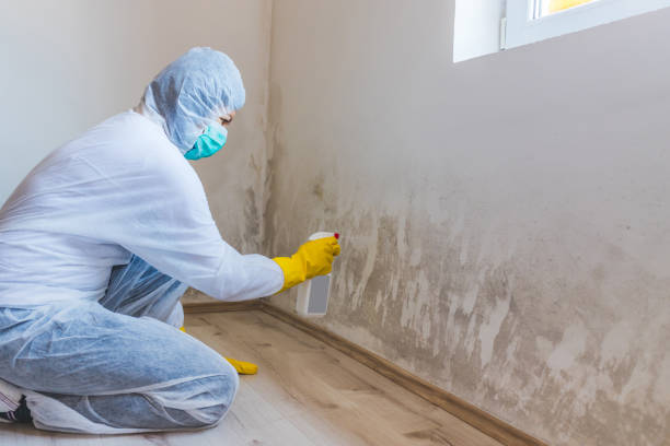 Licensed Crawl Space Mold Remediation service in Conroe, TX - Car Mold Remediation