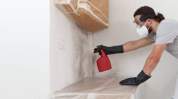 Professional Crawl Space Mold Remediation technician working in Conroe, TX